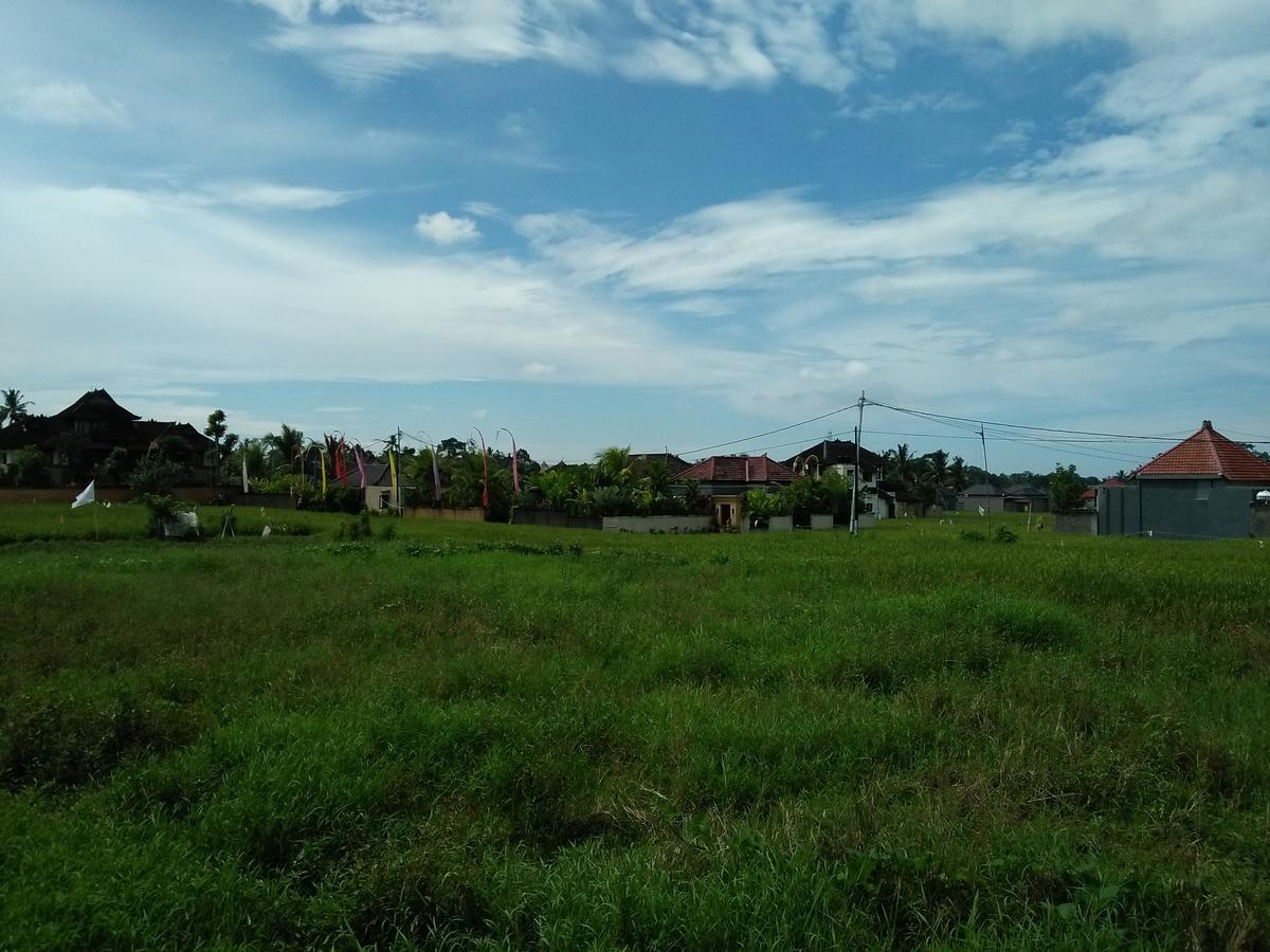 Rumah Rose Ubud (Bali) Ngoại thất bức ảnh